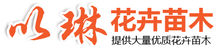 臨朐以琳花卉苗木有限公司